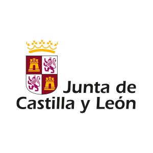 JUNTA-DE-CYL